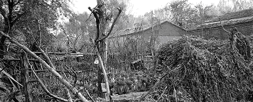 Vegetable garden, Changchun Yuan