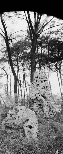 <em>Taihu</em> rocks near The Depths of the Plum-blossom Spring (<em>Taoyuan shenchu</em>)