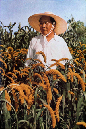 Mao Zedong inspects Great Leap Forward grain yields